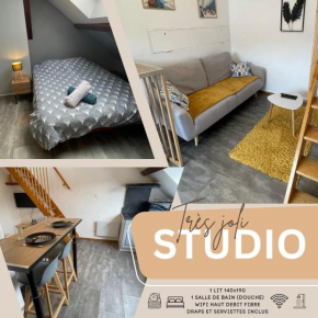 Superbe studio à proximité du centre-ville